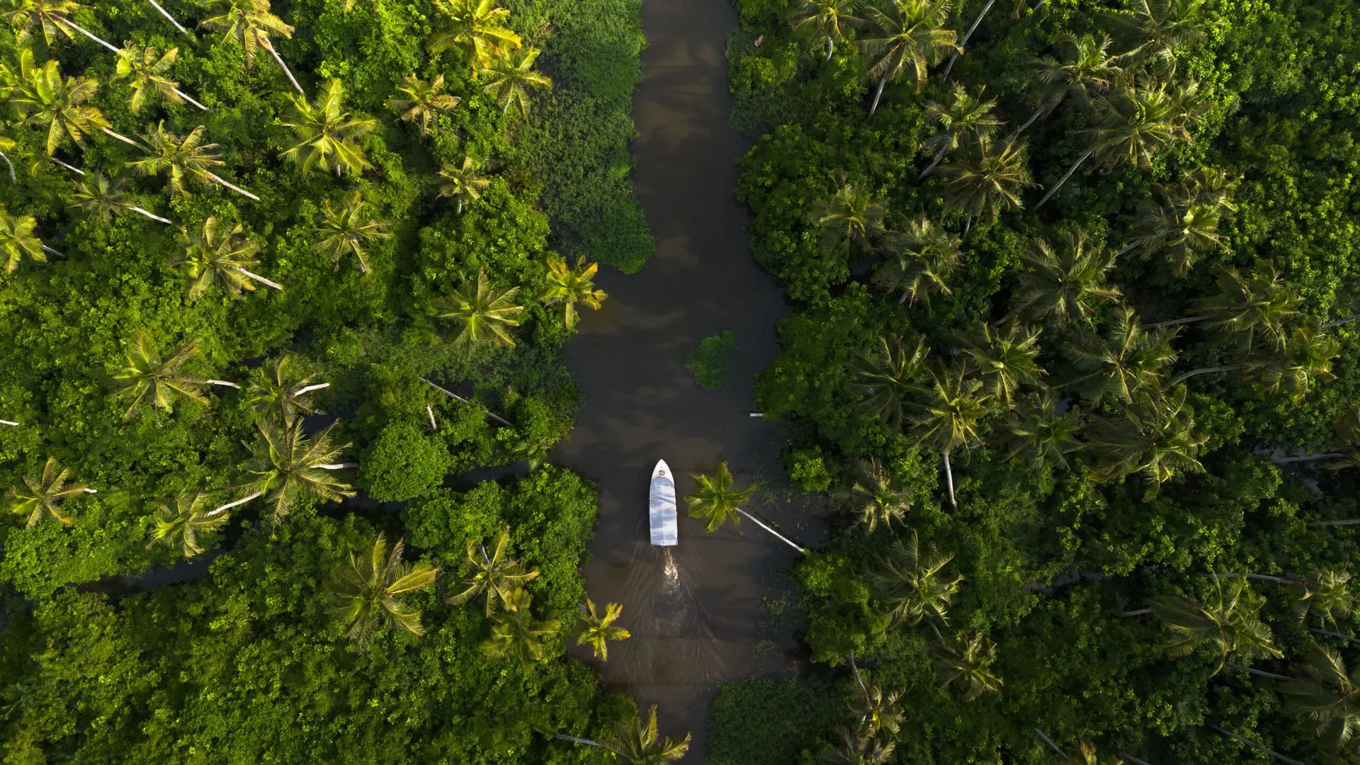 Kerala Backwaters - Private South India Tour