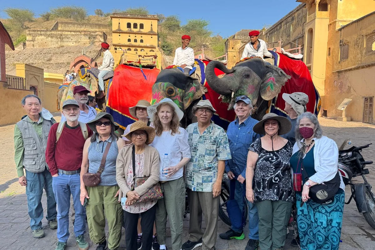 Travellers posing near decorated elephants in Jaipur