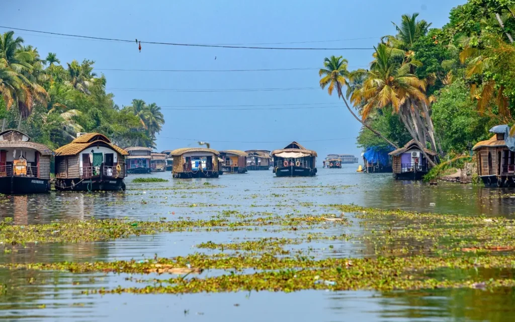 Scenic backwaters and tropical greenery in Alleppey, Kerala, India
