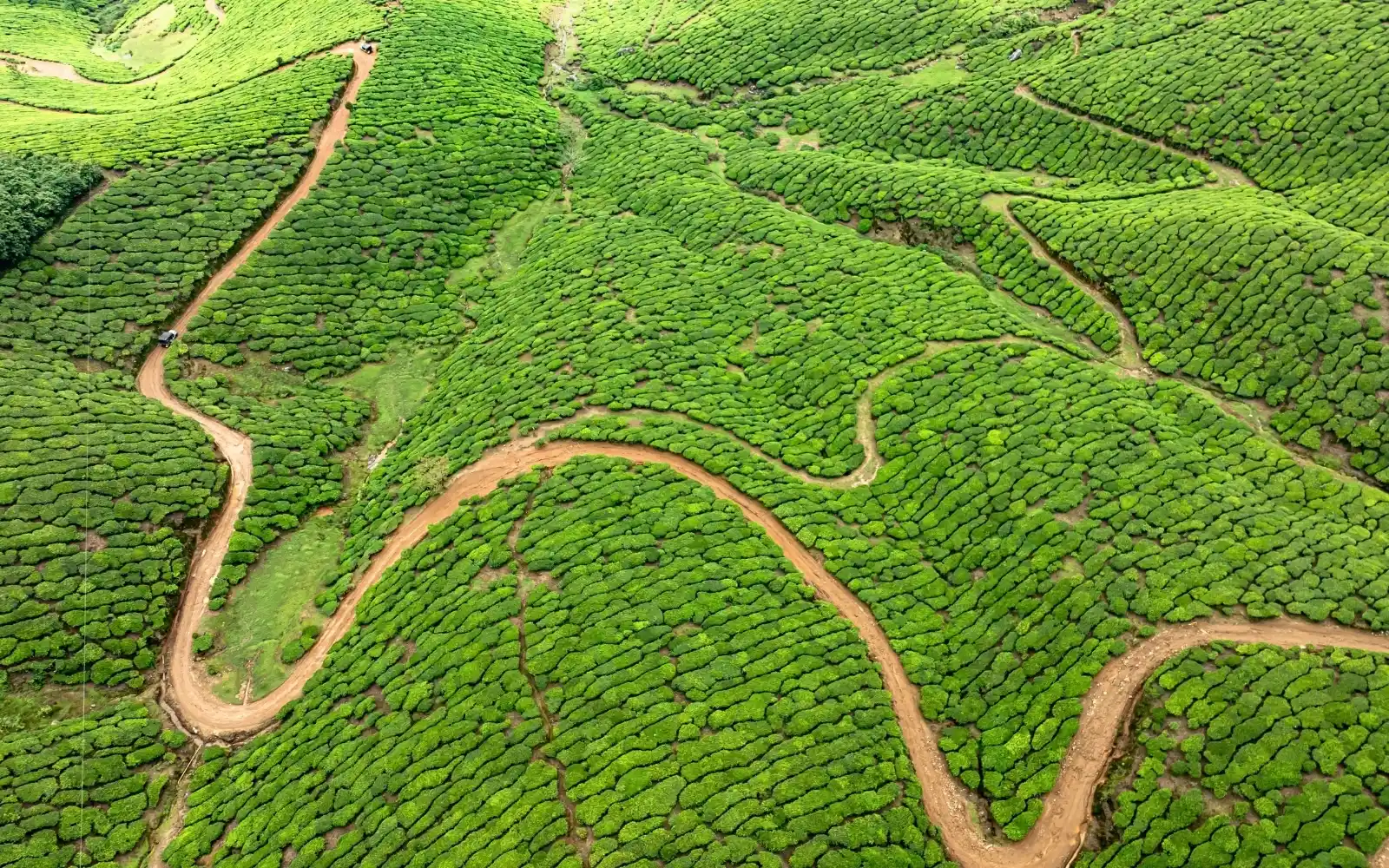 Scenic natural landscape in Chikkamagaluru, Karnataka, India