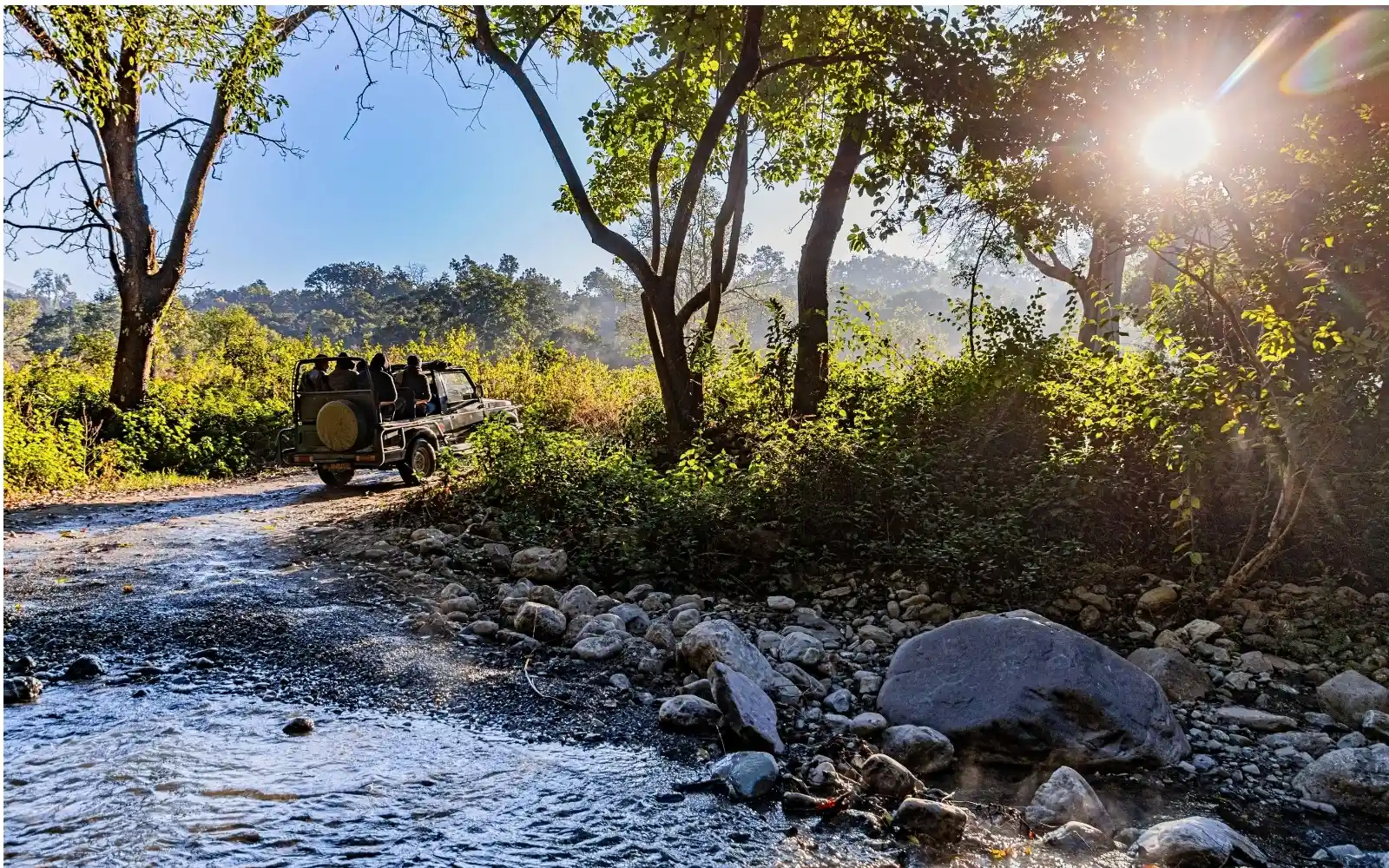 Wildlife landscape at Jim Corbett National Park, Uttarakhand, India
