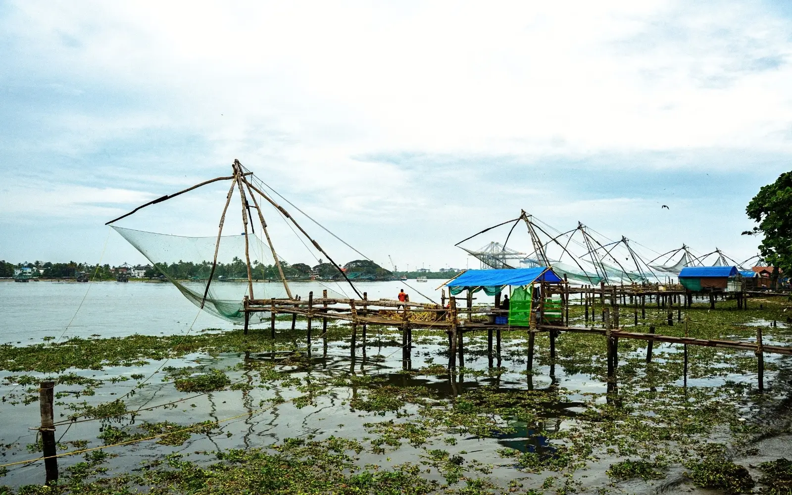 Scenic travel view of Kochi, Kerala, India