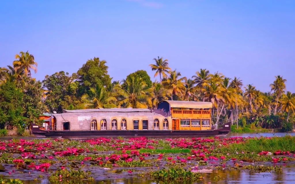 Grand Culinary Journey