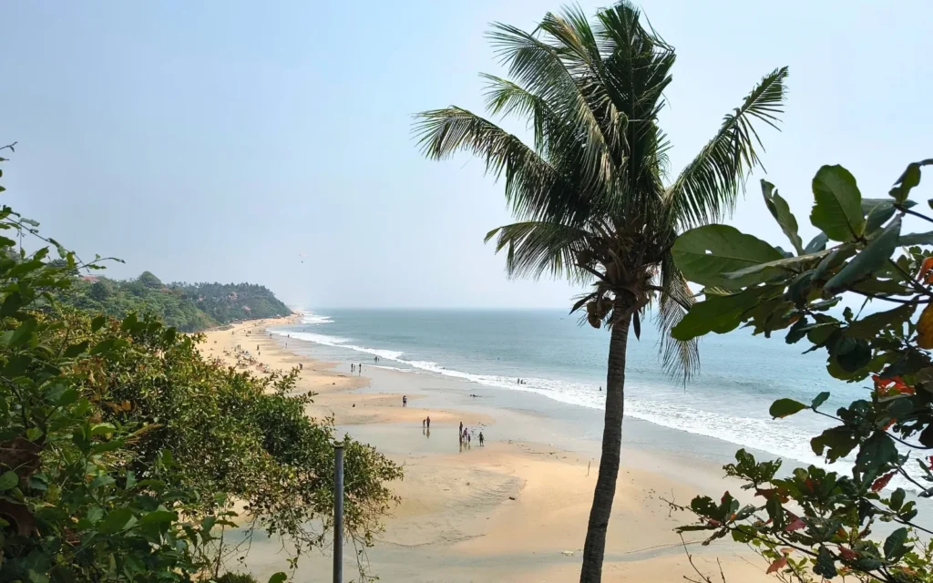 Malabar Flavours & Spice Plantations