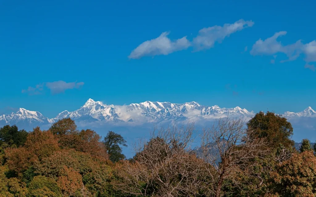 Himalayan Wellness Retreat