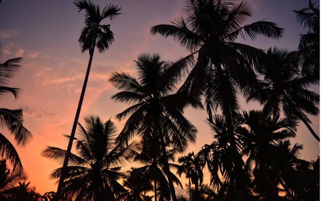Heritage Homesteads & Malabar Coast
