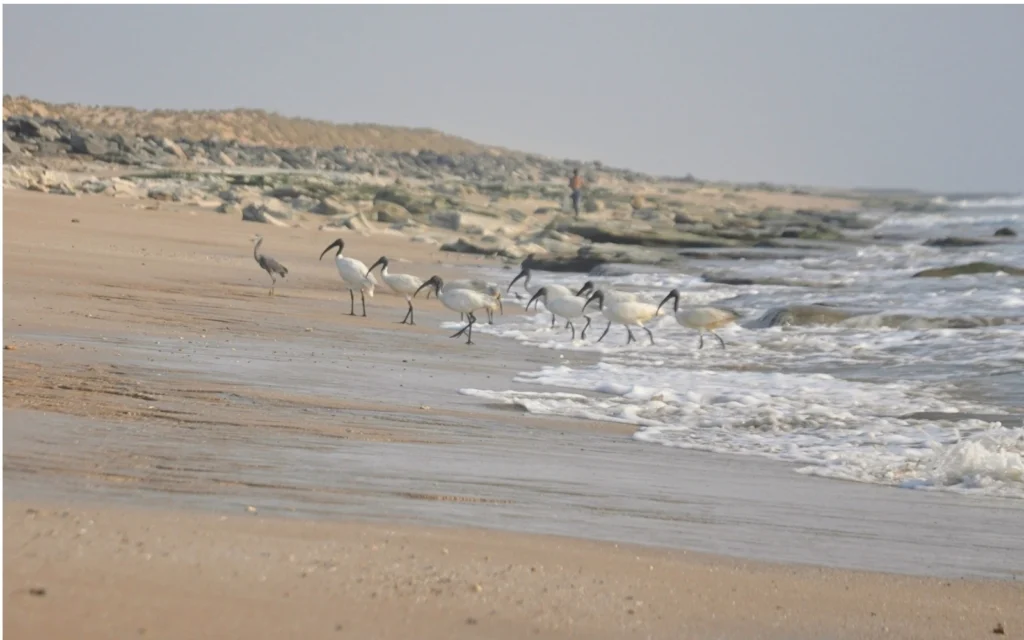 Scenic travel view of Porbandar, Gujarat, India
