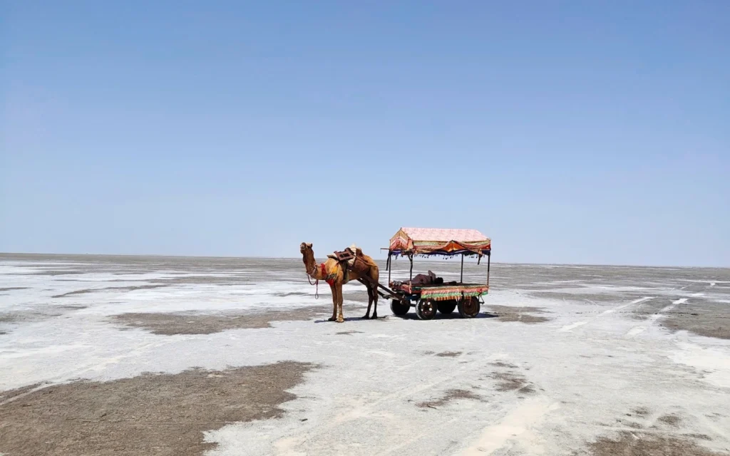 White Desert Experience