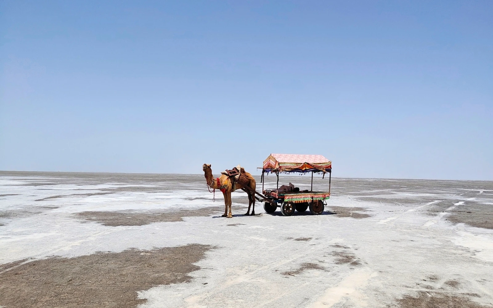 Desert landscape in Rann of Kutch, Gujarat, India