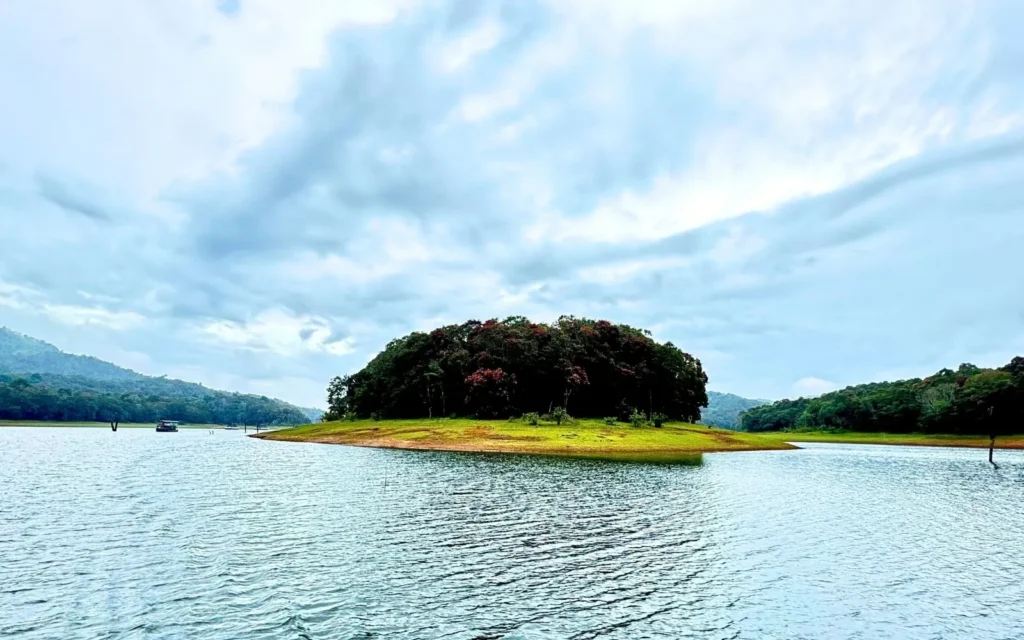 Wildlife landscape at Thekkady & Periyar, Kerala, India